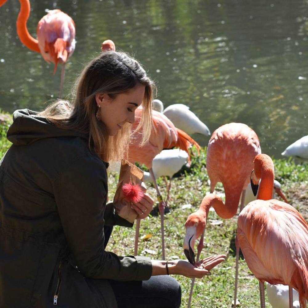 Meet your Posher, Greta